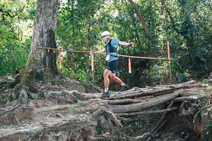 BIB: 
                            <button type="button" onclick="openModal(27743867)" class="btn btn-primary btn-sm float-right btn-popup" data-toggle="modal" data-target=".modal-high-quality">
                        <i class="fas fa-shopping-cart"></i> Add to Cart
                    </button>
                                            <button type="button" onclick="isThisMe(27743867, true)" class="btn btn-success btn-sm float-right btn-popup btn-isme hidden" data-toggle="tooltip" data-placement="bottom" title="นี่คือรูปของคุณใช่ไหม คลิกที่นี่เพื่อเอาเข้าอัลบั้ม">
                        <i class="fas fa-plus"></i> Add to album
                    </button>
                    <button type="button" onclick="isThisMe(27743867, false)" class="btn btn-warning btn-sm float-right btn-popup btn-isnotme hidden">
                        <i class="fas fa-ban"></i> Remove from album
                    </button>